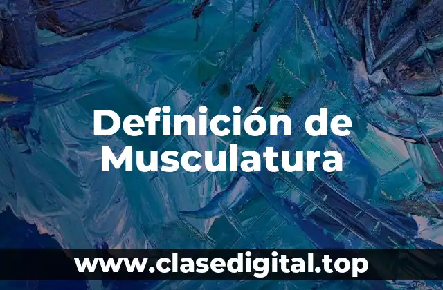 Ejemplos de Musculatura