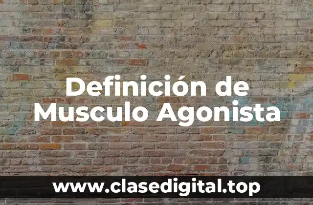 Definición de Musculo Agonista