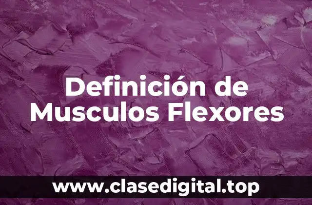 Definición de Musculos Flexores