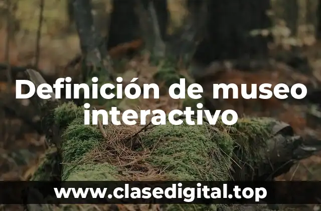 Definición de museo interactivo