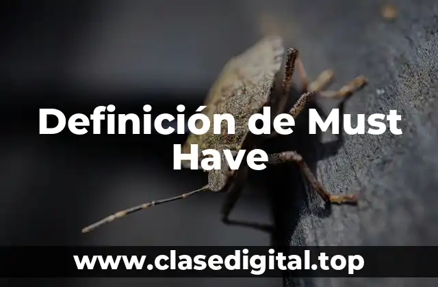 Ejemplos de Must Have