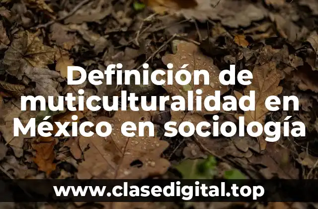 Definición de muticulturalidad en México en sociología