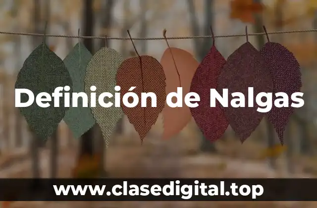 Definición de Nalgas