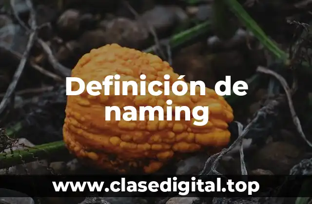 Definición técnica de naming
