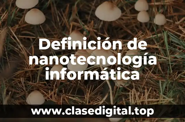 Ejemplos de nanotecnología informática