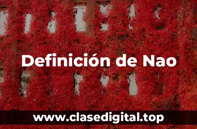 Definición de Nao