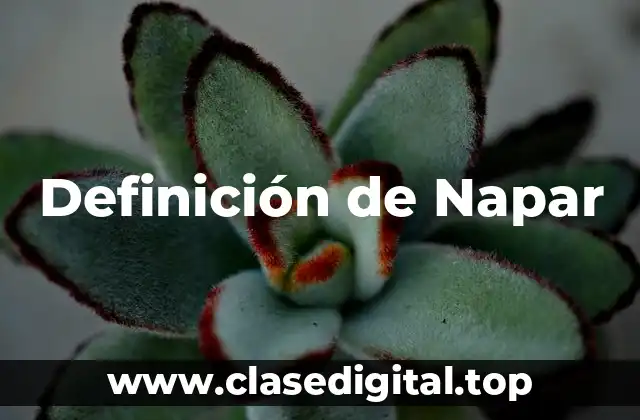 Definición de Napar