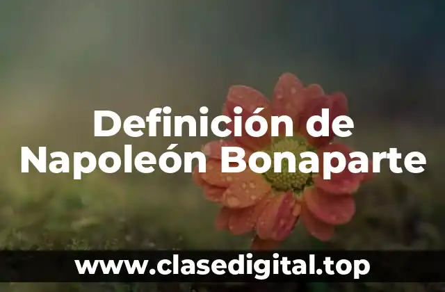 Definición de Napoleón Bonaparte
