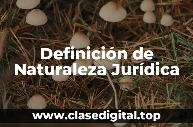 Definición de Naturaleza Jurídica