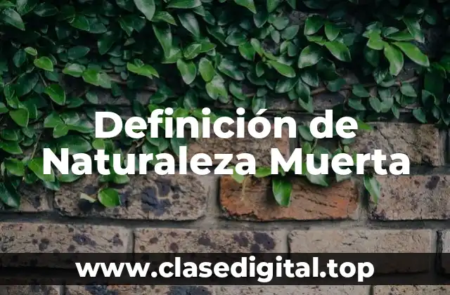 Definición de Naturaleza Muerta