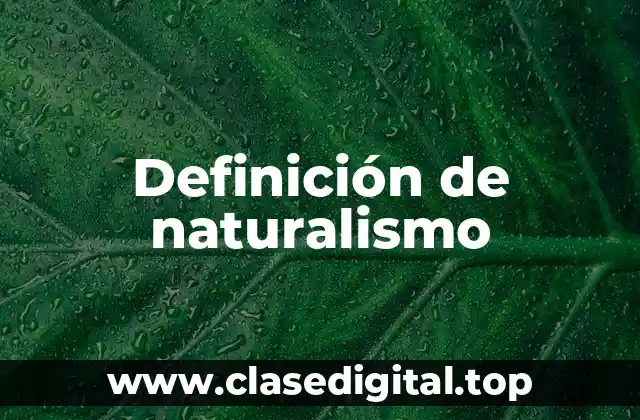 Definición técnica de naturalismo
