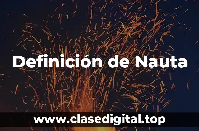 Definición de Nauta
