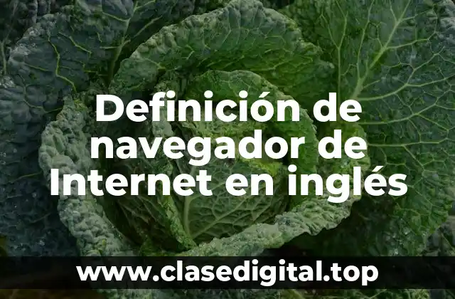 Definición de navegador de Internet en inglés