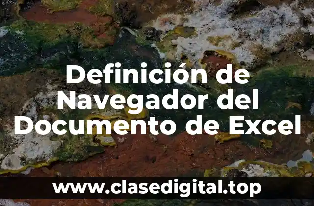 Definición de Navegador del Documento de Excel