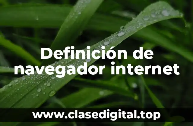 Definición de navegador internet