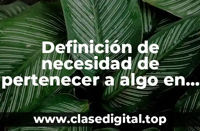 Ejemplos de necesidad de pertenecer a algo en una empresa