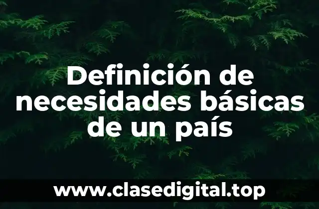 Definición de necesidades básicas de un país