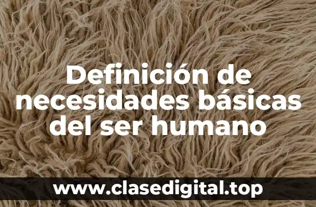 Definición de necesidades básicas del ser humano