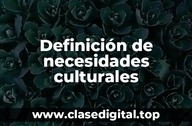 Definición de necesidades culturales