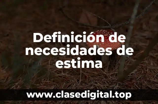 Ejemplos de necesidades de estima