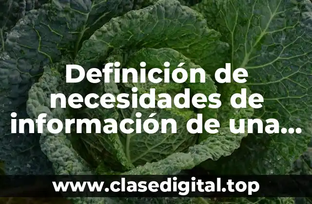 Definición de necesidades de información de una tortilleria de maíz