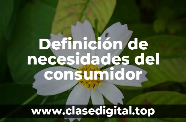 Definición de necesidades del consumidor