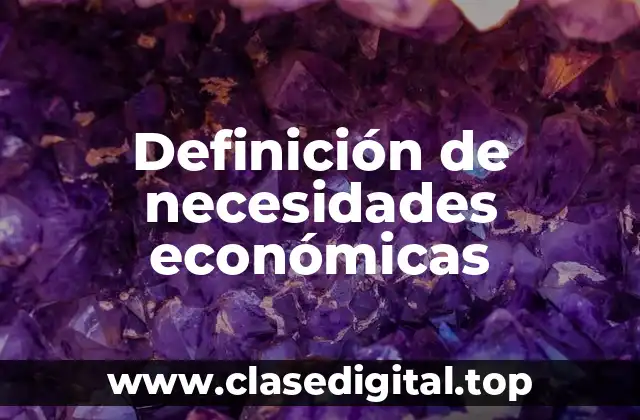 Definición de necesidades económicas