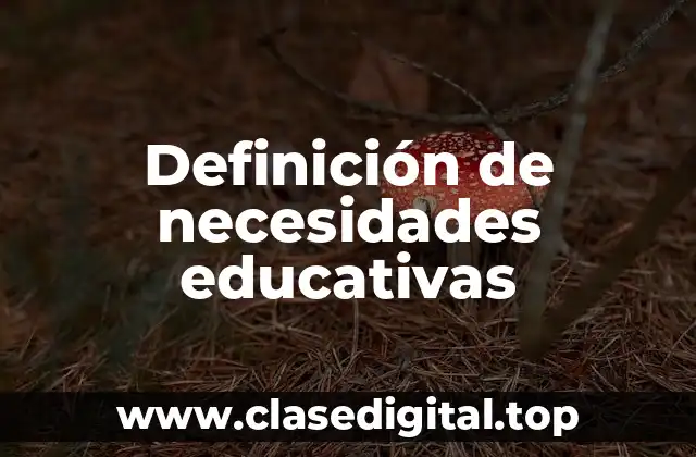 Definición técnica de necesidades educativas