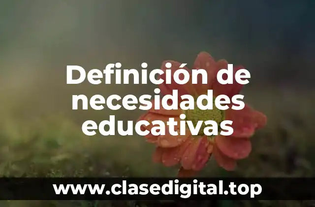 Definición de necesidades educativas