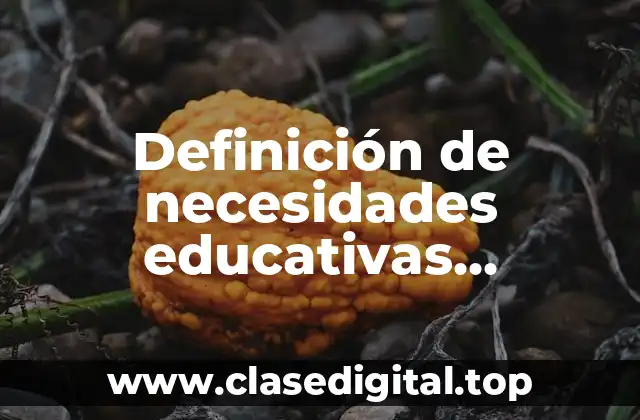 Definición de necesidades educativas especiales con o sin discapacidad
