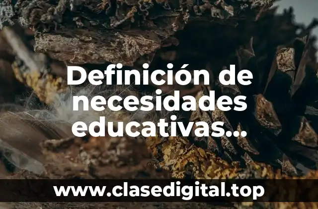 Definición de necesidades educativas especiales informe Warnock