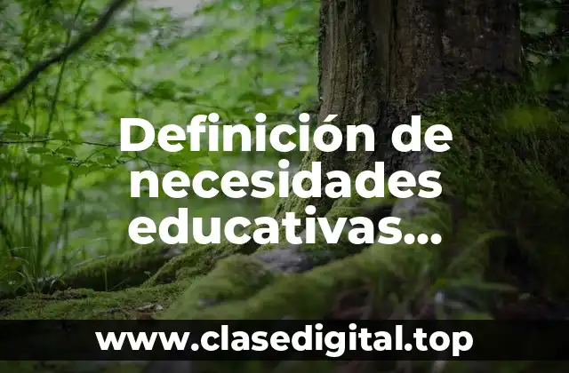 Definición de necesidades educativas especiales y discapacidad