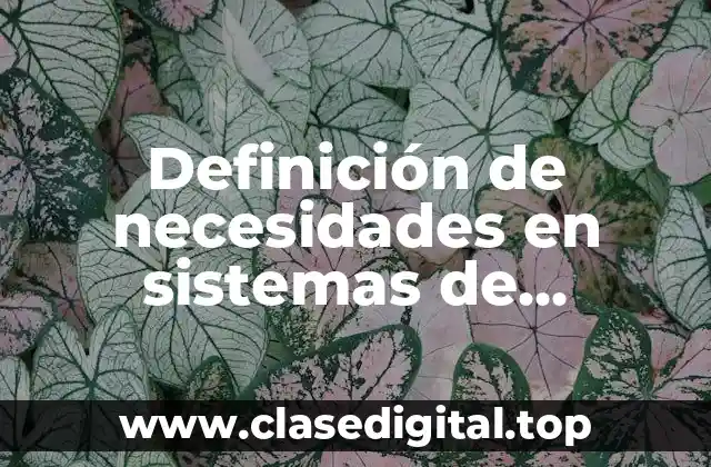 Definición técnica de necesidades en sistemas de información