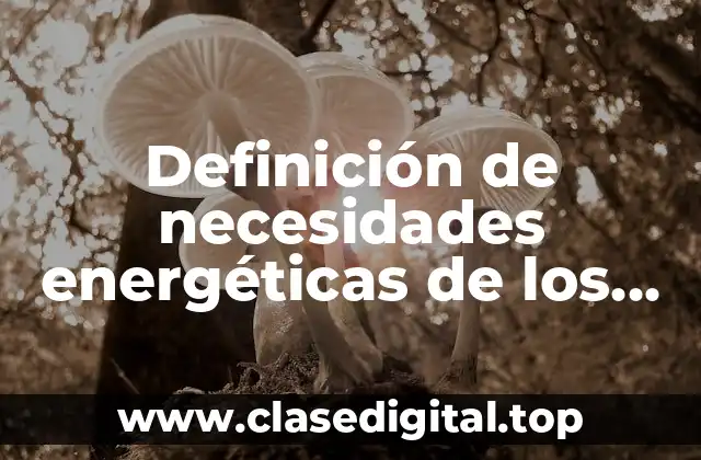 Ejemplos de necesidades energéticas de los seres humanos