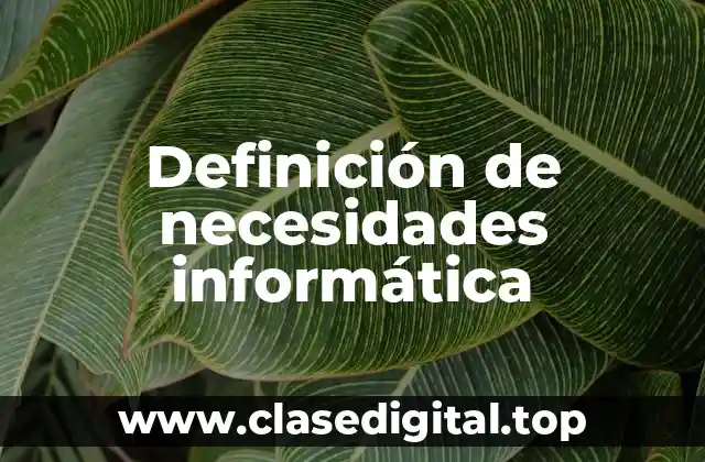 Definición de necesidades informática