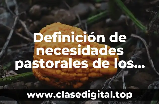 Definición de necesidades pastorales de los católicos