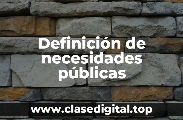 Definición técnica de necesidades públicas