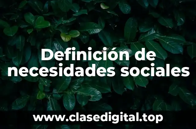 Definición técnica de necesidades sociales