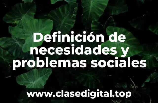 Ejemplos de necesidades y problemas sociales