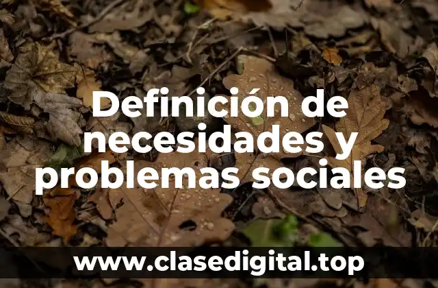 Definición de necesidades y problemas sociales