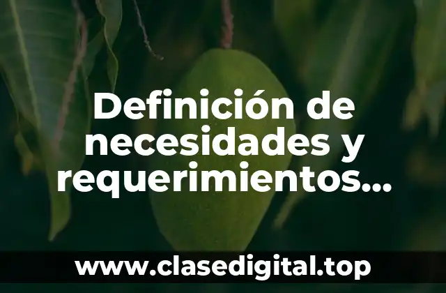 Definición de necesidades y requerimientos etapas de integración