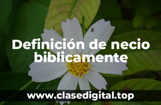 Definición de necio biblicamente