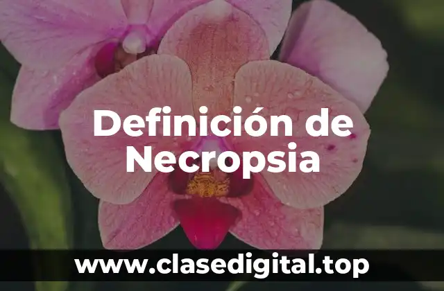 Definición de Necropsia