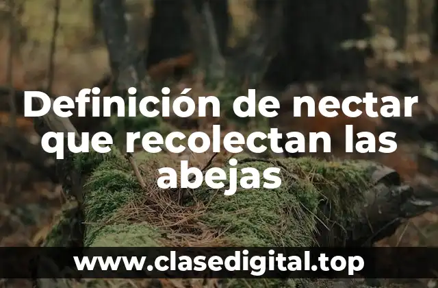 Definición técnica de nectar