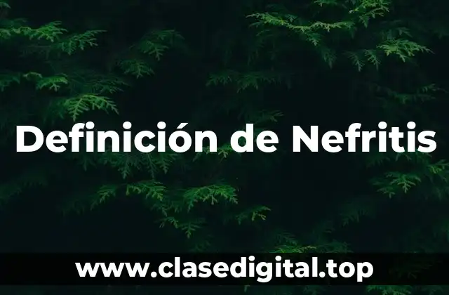 Definición de Nefritis