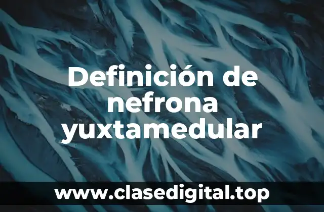 Definición de nefrona yuxtamedular