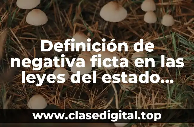 Definición de negativa ficta en las leyes del estado mexicano