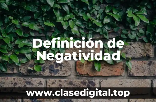 Definición de Negatividad
