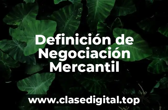 Definición de Negociación Mercantil