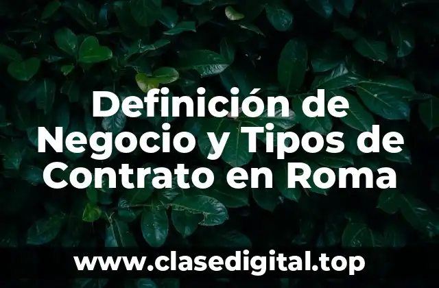 Definición de Negocio y Tipos de Contrato en Roma